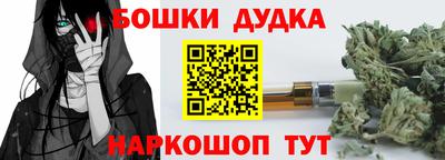 гидра Гусиноозёрск